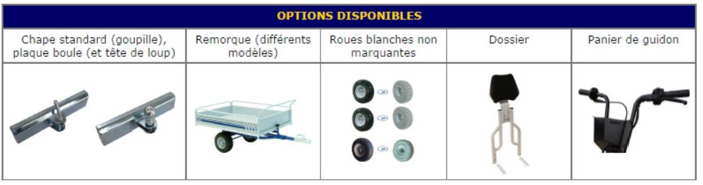 Vos options de personnalisation du triporteur électrique DDM