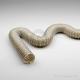 Gaine d'aspiration et soufflage PTFE pour industrie chimique