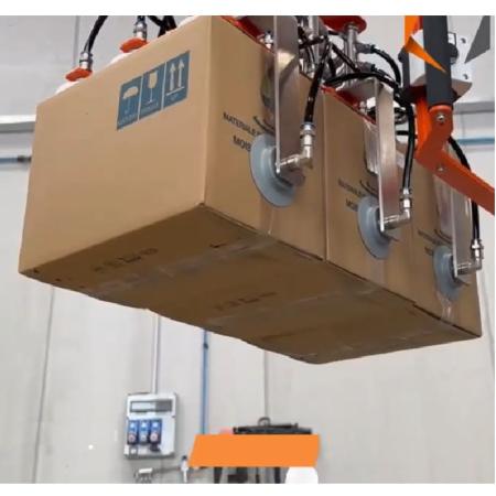 Devis Bras d'assistance à la palettisation de plusieurs cartons en couche