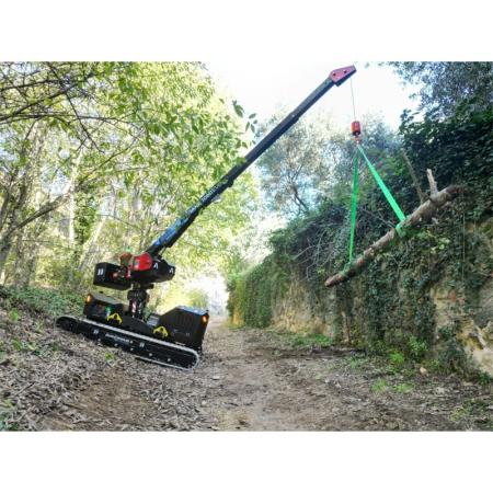Achat Mini grue électrique mobile autonome 1 T T-CRANE 1060 LTH