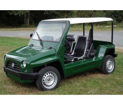 Achat Véhicule électrique de loisirs