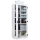 Armoire ventilée à filtration intégrée 2 compartiments AFF 2C