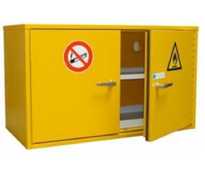 Armoire de sécurité produits inflammables T10 IBL/2