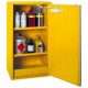 Armoire de sécurité produits inflammables T10 IME/2