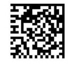 Datamatrix par micropercussion - AGICOM