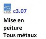 Liquide de préparation pour mise en peinture tous métaux, CTEC c3.07 - AAN LABOREX
