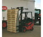 Pince de préhension pour pile de cagettes pleines - EMILY
