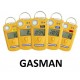Analyseur de gaz portable Gasman N ATEX