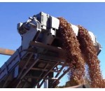 Convoyeur à tapis d'évacuation de plaquettes de bois - AL INDUSTRIE