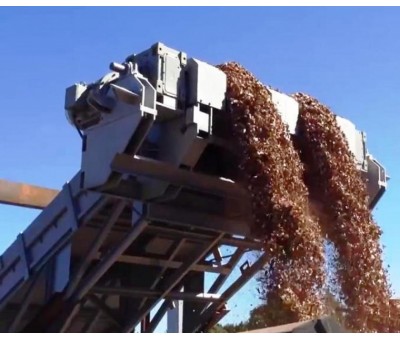 Convoyeur à tapis d'évacuation de plaquettes de bois