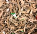 Devis Broyeur de carton pour production de chips de calage TB500