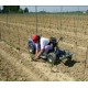 Devis Siège de taille électrique pour la viticulture JAY