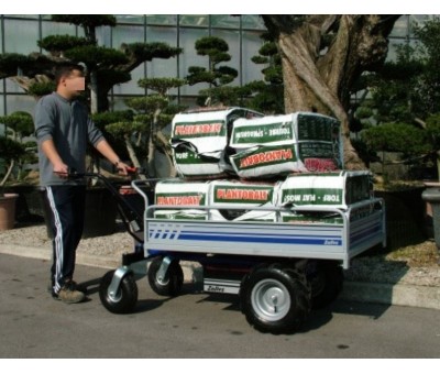 Achat Chariot à motorisation électrique 4 roues HELPFUL S
