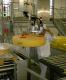 Devis Bras manipulateur secteur alimentaire FRIENDLY