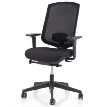 Fauteuil de bureau à soutien lombaire ergonomique ERGO Network